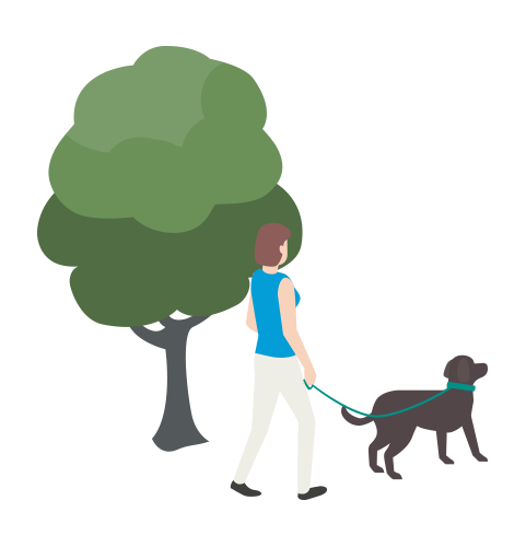 Illustration of a woman walking a dog outside