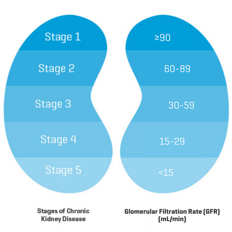 5 Stages of Chronic Kidney Disease